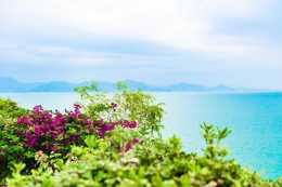 實拍廣東最美海灘之一，風景可媲美馬爾地夫和巴厘島，消費超低！