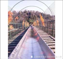 北京八大處公園滑道多長？1700米。穿越叢林，森林過山車老少皆宜