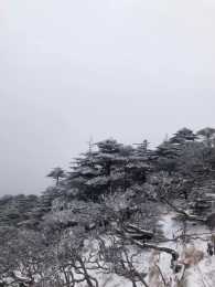 多地降雪，一夜化身雪國仙境的雲南，到底有多美？