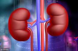 腎是人體最重要的器官之一，腎好了，整個人都顯得意氣風發