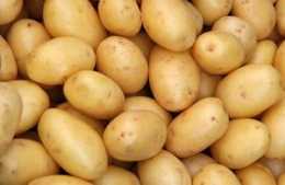 你喜歡吃土豆嗎，你覺得生活中可以缺少土豆嗎？