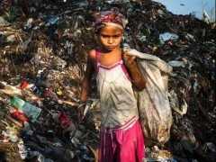 印度最大的垃圾場，裡面的鳥比人還大，原本以魚蝦為食，現在吃垃圾
