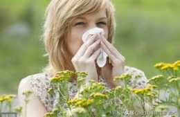 春季花粉過敏多，如何自救