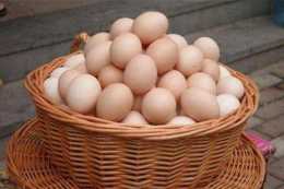 我和外婆進城，被表舅一家看不起，外婆用50個雞蛋出了一口氣