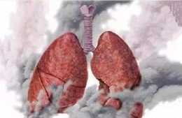 養肺即養命，肺好消百病！滋陰潤肺一口搞定！