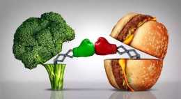 減肥到底應該是少吃肉還是少吃飯？