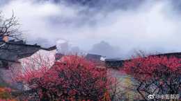 中國式的田園天堂，婺源最美的季節