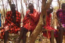 肯亞OldonyonokieOlkeri Maasai牧民的生活。