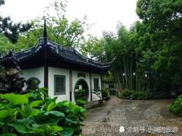 嘉定區面積最大的古典園林：是上海五大古典園林之一，與秋霞圃齊名