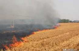 農村焚燒秸稈為何屢禁不止？專家支招：讓農民從偷著燒到不想燒