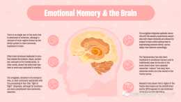 動物行為學實驗手冊｜學習記憶系列之情緒記憶