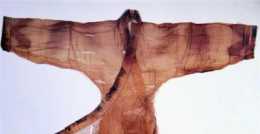 馬王堆漢墓的素紗衣，出自於馬王堆漢墓，為何還是國寶級的？