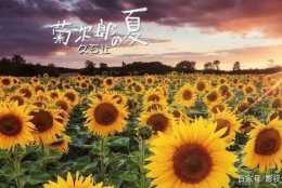 北野武的溫情電影，《菊次郎的夏天》，願你欣賞旅途風光！