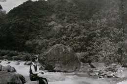 張學良拍攝的趙四小姐照片：在山中小溪垂釣，坐在藤椅上塗指甲油