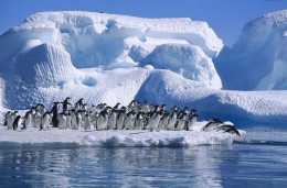 2020年是人類發現南極大陸200週年，南極或將成為下一個奢華遊寵兒