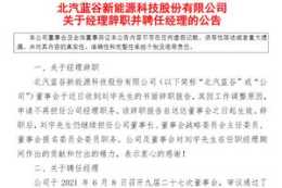 劉宇辭去北汽藍谷經理職務，代康偉接任