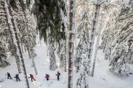 瑞典：覆雪之下的波瀾往事