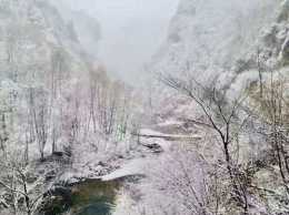 漢中多地降雪，雪中拍照竟然這麼美！