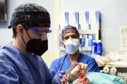 世界首例豬心移植，對醫學界意味著什麼？