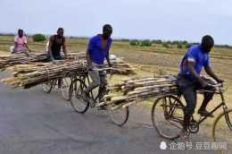 中國的一輛腳踏車火爆非洲，中國現在很少見，非洲人讚不絕口！