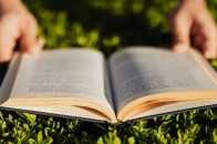 在金沙灣公園的草坪上，享受孩童們的閱讀時光