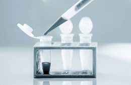 幹細胞療法是真的還是假的？