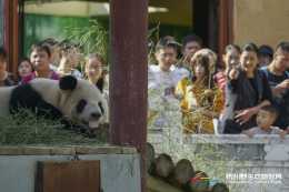 五一打卡杭州野生動物世界，與神奇動物零距離互動，這樣玩才夠爽！