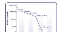amh水平越高代表卵巢內儲備的卵子數量越高，這是怎麼回事？| 答疑