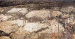 北齊東安王婁睿墓壁畫：駝運隊
