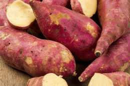 紅薯也是一種美食，也有食用的禁忌，你知道多少？
