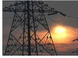 為什麼印度正處於前所未有的電力危機的邊緣?