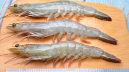 河蝦和海蝦有什麼區別，為什麼海蝦更貴，哪種營養好？漲知識了