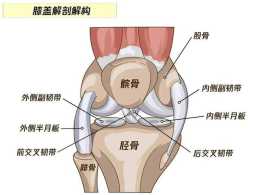 站樁傷膝蓋的根本原因，要避免也同樣有方法，乾貨