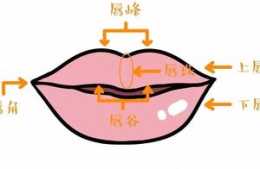 苗小亦化妝教程：不同唇形的口紅畫法！推薦收藏