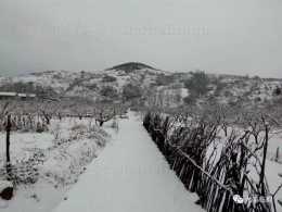 臨朐辛寨周家莊村的雪