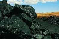 訊息確認：緊急釋放煤炭產能9835萬噸！（附名單）