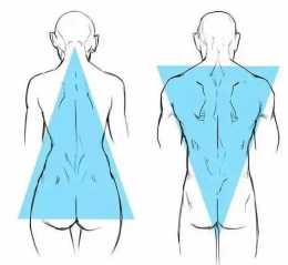 男女背部結構的區別畫法，教你正確掌握人體結構的畫法！