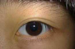 為何有人說滿族人眼球都是褐色的，是真的嗎？