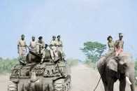 看圖讀史：一輛坦克和一頭大象“飈車”；波黑戰爭中的殘忍瞬間。