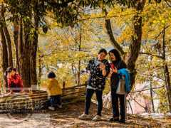 中國被高山環抱的寶藏小鎮，森林覆蓋率65.3%，有廣東最美的銀杏