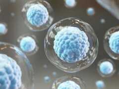 新的研究可能有助於改善幹細胞移植，導致更好的藥物