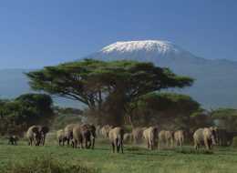 非洲最高山峰：一座山擁有四季風光，爬前還需先花20多萬！