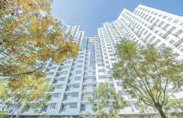 北京市107個公租房專案已入住8萬餘戶家庭 “最美公租房”入住率超七成