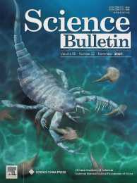 中國首次發現4.3億年前的“海蠍子”，體長1米，轟動科學界