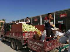 洋香瓜上市每斤不足2元，價格史上最低，瓜農：今年白忙活了