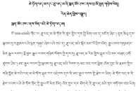 藏文科普 | 牡丹和芍藥：從藥房裡鑽出來的國花姊妹