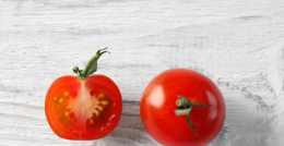 西紅柿是健康的 秘密 ? 西紅柿其實是食物中的寶