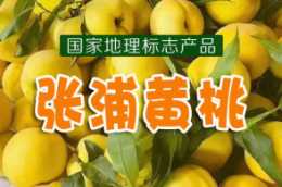 張浦鎮特色農產品“張浦黃桃”