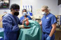 全球首位豬心臟移植病人術後2個月死亡