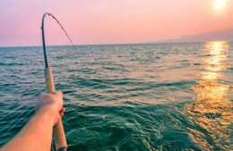 夏季釣魚的幾點關鍵技巧